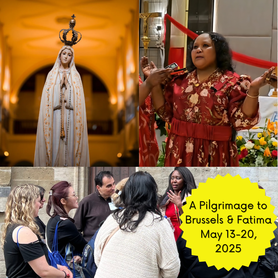 Bruxelles, Belgien - Lourdes pilgrimsrejse 13.-20. maj 2023 med Immaculee